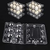 30 Stück Wachtelei-Schachteln, Wachteleierschachteln 6 Gitter Quail Egg Kartons Eierschachteln Wachteln Wachtelei-Kartons PVC-Eierhalter mit Deckel Eier Aufbewahrungsbox für Kühlschrank