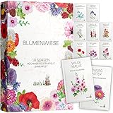 Blumen Samen Set - 10 bunte Blumensamen Sorten für den Garten oder Balkon, die Bienenweide und Wildblumenwiese - Blumenwiese Samen - bunte Wildblumensamen Mischung