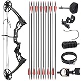 Jagdbereites Compoundbogen-Paket für Erwachsene, Zuggewicht 20–70 Pfund, Keine Bogenpresse erforderlich, Zuglänge 19–30 Zoll, Compoundbögen Zuggewicht einstellbar, Jagdbogen-Set für Anfänger