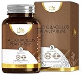 LN Lactobacillus Plantarum | 90 L-Plantarum Probiotika Kapseln – 5 Milliarden KBU pro Portion | Lactobacillus Probiotic | Gentechnik-, Gluten- und Allergenfrei | Hergestellt in Großbritannien