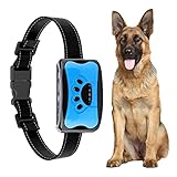 Automatischs Halsband Hundehalsbänder Wasserdichtes Sicherheit,Längenverstellbares Halsband for Hunde, Klassisches Hundehalsband Geeignet für Große Mittlere Kleine Hunde (F)