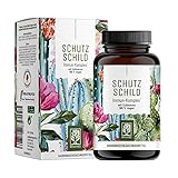 Immunsystem-Komplex - 500mg Echinacea mit Vitamin C Zink Selen L-Histidin & Kalmegh - Immunsystem stärken * vegan & ohne Zusätze - 120 Echinacea Purpurea Kapseln für 60 Tage