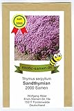 Sandthymian – Thymus serpyllum – hervorragender, duftender Bodendecker – 2000 Samen