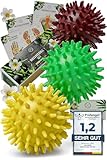 HELDSON® Premium Massageball Set [3 Härtegrade]- Igelball Fußmassage hart, weich - Noppenball - Igelbälle klein - Faszienball Rücken - Massage Ball Faszien - Massageball Fuß - Stachelball Noppen