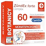 ZÜNDEX FORTE COMPLEX - 60 MSM Kapseln Hochdosiert -...