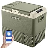 AAOBOSI Kompressor Kühlbox,auto kühlbox,40L kühlbox für die Lagerung von Getränke und Essen,-20℃-20℃,12/24V,Kühlbox Elektrisch mit WIFI-Steuerung und LED-Touch-Bedienung,Geeignet für Reisen&Partys.