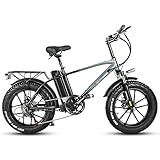 HFRYPShop Elektrofahrrad 20 Zoll E Bike mit 17Ah/48V Batterie, Pedelec E-Bike 4.0 Fetter Reifen, E Bike Herren 25KM/h mit 250W Motor, LCD-Display & 7-Speed E-Bike E-Fahrrad Herren Damen (Grau)