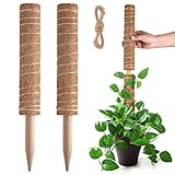 Pisol Moosstange für Pflanzen Monstera, ausziehbare Pflanzstäbe, Pflanzstäbe für Topfpflanzen, 39 cm, Kokosfaser-Stange, Pflanzen-Rankgitter für Sphagnum, Pothos und andere Kletterpflanzen (2 Stück)