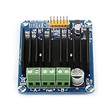 Generic Motor, Motor Controller 1PC DC Controller Triver -Platine, Brückenmotor