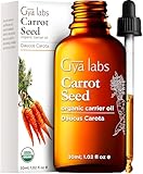 Gya Labs Bio-Karottensamenöl für die Haut - 100% reines, natürliches, unraffiniertes Karottenöl für Haar-, Haut-, Gesichts- und Lippenpflege, Kopfhaut- und Körpermassage-Trägeröl (30 ml)
