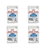 ROYAL CANIN Indoor Sterilised 7+ | 4er Pack | 4 x 12 x 85 g | Alleinfuttermittel für Katzen ab dem 7. Lebensjahr | Für sterilisierte Katzen die im Haus Leben | Häppchen in Gelee