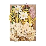 1 Box natürliche getrocknete Blumen for Aromatherapie, Kerzenherstellung, Epoxidharz, Schmuck, Trockenpflanzen, getrocknete Blumen, Herstellung, Bastelzubehör, Lehrer, beste Freunde, Geschenke ( Farbe