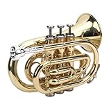 Eujgoov Bb-Taschentrompete, Vernickeltes Messing, Kompakte Trompete für Anfänger, 7C-Mundstück Im Lieferumfang Enthalten, mit Hartschalen-Handschuhband, 9,06 X 5,91 X 3,74 Zoll, Tragbares Design für