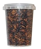 500 ml Seidenraupenpuppen/Silkworm gefriergetrocknet gefriergetrocknete/getrocknet | Reptilienfutter, Schildkrötenfutter, Futtertiere Igelfutter Vogelfutter/Seidenraupen Koifutter Fischfutter