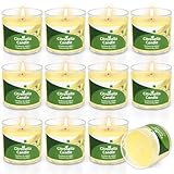 12 St Citronella Kerze Outdoor, 300 Std Draußen Citronella...