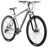 Galano Mountainbike 29 Zoll Hardtail MTB Fahrrad Ravan 24 Gänge Bike 3 Farben (Silber, 48 cm)