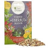 Wildkräuter Samen: Bunte Premium Kräuter Samen Mischung mit Löwenzahn Samen, Sauerampfer, Spitzwegerich uvm – Unkraut Samen Mix für Garten, Balkon – Kräuter Pflanzen Saatgut alte Sorten von OwnGrown