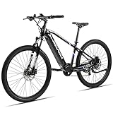 E Bike 29' E Mountainbike Damen Herren mit Abnehmbarer 48V 10,4Ah Akku 250W Hinterradmotor Shimano 9-Gang Elektrofahrrad 80km Fahrrad mit MTB Federgabel, LED Licht