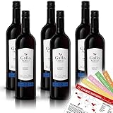 Gallo Merlot, trocken, sortenreines Weinpaket + VINOX Winecards (6x0,75l)