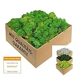 Islandmoos - konserviertes Moos in 200g/500g/1kg/4kg für Moosbilder, als Deko oder zum Basteln (laubgrün, 200g)