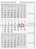 rido/idé 3-Monatskalender 2026 | grau, 300×390 mm