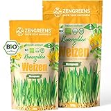 ZenGreens® - Bio Weizen Sprossen Samen - Wähle zwischen 200g und 500g - Weizengras Samen mit Keimrate von über 96% - Getreide Saatgut - Weizensamen ideal für Microgreens - Keimsprossen Samen