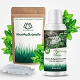 NORDHOLZ® Sauna Aufgussmittel [100ml] + Mentholkristalle [50gr] - Premium Qualität aus 100% Minzöl - Befreit die Atemwege und sorgt für intensiven Duft in der Sauna - Sauna Zubehör