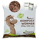 500 Stk. Kompostwürmer (250g) | Regenwürmer Eisenia,...