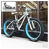 DSRETYEII Dual-Suspension Mountainbikes Mit Zwei Scheibenbremse Für Erwachsene Männer Frauen, Alle Terrain Anti-Rutsch-Fett-Reifen-Mountainbike, High Carbon Stahl Mountain Trail Bike/Weiß/24 Zoll 27 G