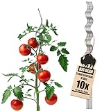 BigDean 10 Tomatenspiralstäbe 110cm voll verzinkt Tomatenstab Tomaten Ranke Pflanzstab Stahl Profi Qualität Tomatenspiralstab