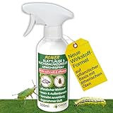 GREEN GUARDIA Blattläuse & Buchsbaumzünsler Abwehrspray 500ml – Sprühfertiges Konzentrat mit pflanzlichen Ölen | für Zimmer-, Zierpflanzen und Garten | sofort, effektiv & nachhaltig