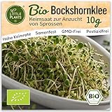 Little Plants Bio Bockshornklee Sprossen Samen [10g] - Bockshornklee-Samen - Bockshornkleesprossen & Microgreens zum Keimen