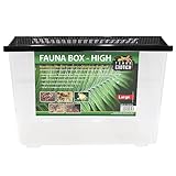 Fauna Box High & Flat (High, Large)