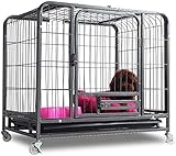 Hundekäfig Hundetransportkäfig Hundebox Metallkiste Käfig Zwinger Klapptier Hund Aufpauschale Zwei Türschlösser und Tabletts mit Haustierhund Sicky Pet Indoor Outdoor Schwarze Katze ( Color : Silver )