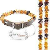 Bernstein Halsband für hund & katze gegen Zecken, Natürliches Zeckenschutz mit Bernsteinkette als Zeckenhalsband, Bernsteinhalsband für große & kleine Hunde auch Katzen Alternative zeckenmittel