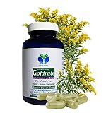 Echte GOLDRUTE Solidago 120 KRÄUTER Kapseln [OHNE ZUSATZSTOFFE] zur FREUDE von NIEREN - BLASE - HARNWEGE [NATUR pur] 26935-120