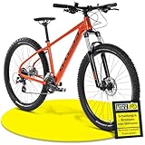 Axess Debris Mountainbike | MTB-Hardtail | 29 Zoll...