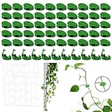 Yoosso 60 Stück Pflanzenhalter Wand, Pflanzenclips Pflanzenwand Kletterpflanzen Halterung für Plant Climbing Wall Garten Pflanzen Stängel