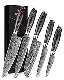 XINZUO 5er Küchenmesser Set 67 Schichten Damaststahl Chefmesser Set, Profi Geschmiedet Damaskus messerset Scharfe Klinge Kochmesser Set -Chef Santoku Tranchier Allzweck Obst Messer -Pakkaholz Griff