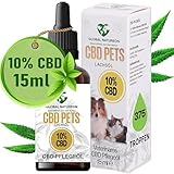 GLOBAL NATUREON 10% CBD Öl - Große Flasche 15 ml, CBD PETS für Hunde und Katzen, 1500 mg CBD auf Lachsölbasis, Cannabis Öl - CBD Öl 10 Prozent, Terpenfreies, CBD Pflegeöl Hund, 375 Tropfen