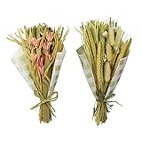 2er Set Trockenblumen Strauß | Strohblume Trockenpflanze Naturdeko | 25 cm