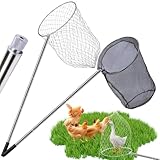 Hühnernetze, 2 Stück Skalierbares Hühnerfänger, Fangnetz...