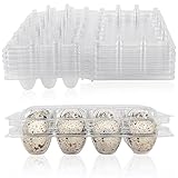 Fzyisw 12 Stück Wachteleierschachteln, 12 Gitter Wachtelei Schachteln, Transparente Quail Egg Kartons, Eierschachteln Wachteln mit Deckel, Wachteleier Schachtel, Eier Aufbewahrungsbox für Wachteleier