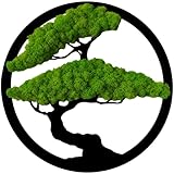 ProArts Moosbild Rund Bonsai Baum - Moosbilder mit Rahmen 30x30cm - Mooswand Lebend Natürliches - Pflanzenbild Handgefertigt mit Moos Rentierflechte