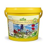 N. L. Chrestensen Wildblumen - Mischung | 5 l Eimer für 500-1000 m2 | Blumensamen mehrjährig winterhart | Wildblumenwiese für Bienen und Schmetterlinge | Für Garten, Wiese