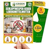 GREEN GUARDIA Schlupfwespen gegen Lebensmittelmotten - Einzellieferung - Effektiv Motten bekämpfen/Umweltfreundliche Alternative zu Mottenfalle, Mottenspray, Pheromonfalle (1x Karte à 1 Lieferung)