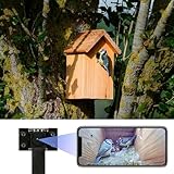 WIWACAM 4K Mini Kamera WLAN für Nistkästen, mit live übertragung auf Handy, Nachtsicht, Akku, SD-Kartenschacht, MW5 Nistkasten Version