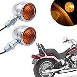 BLUERICE Universal Motorrad Blinker Bullet Blinker Blinker Blinker Licht für Sportster Cruiser Bobber Chopper Harley Honda Yamaha Kawasaki Suzuki BMW (1 Paar) (Silber)