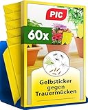 PIC Gelbsticker Trauermücken - 60x Gelbtafeln gegen...