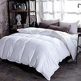 BOtizr Winter Down Duvet Warm-All-Season Quilted Duvet,Sleeping Blanket,Super Soft Quilts for Winter,All-Year Duvet